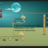 Paratrasnet garduri electrice | Garduri Electrice Animale