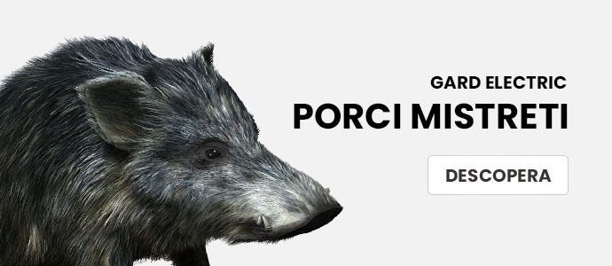 Gard electric porci mistreti