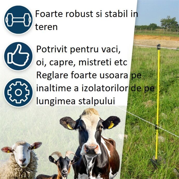 Stalp oval fibra sticla porci mistreti